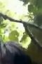 Viral Abg Berbuat Di Hutan