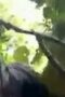 Viral Abg Berbuat Di Hutan