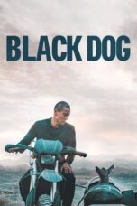 Film Online Black Dog (2024) Sub Indo
