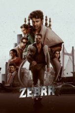 Film India Zebra (2024) Sub Indo