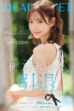 FINAL IMPRESSION (2025)