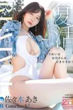 Jav Sub Indo Aki Sasaki