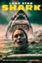 Lone Star Shark (2025)