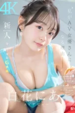 Nia Shirohana Cewek Imut Tobrut Mengakui Hyper Dalam Debut Pertama