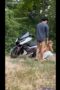 Nyobain gaya doggy diatas nmax