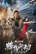 Operation Hummingbird (2026)