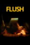 Flush (2026)
